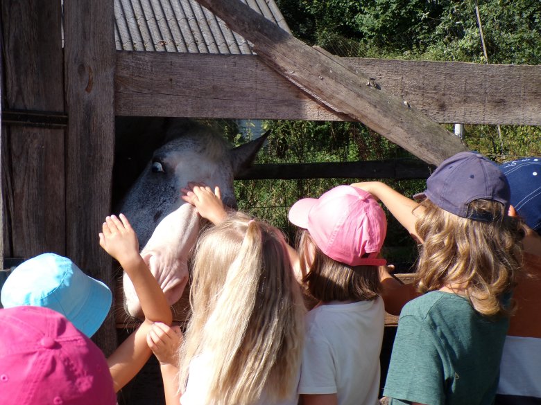 Besuch auf dem Bauernhof